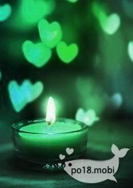 成为反派的双胞胎兄弟免费