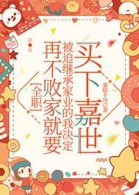 [全职同人] 再不败家就要被迫继承家业的我决定买下嘉世